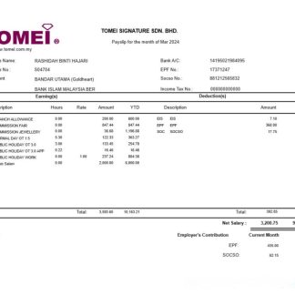 information technology company paystub template in Word and PDF formats download template file