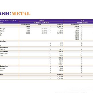 Barrett Business Services employee pay stub template in Word and PDF formats.pdf, 1 download template file