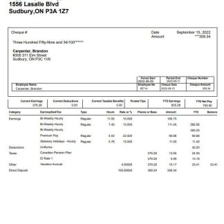 TEKsystems pay stub template in Word and PDF formats.pdf, 1 download template file