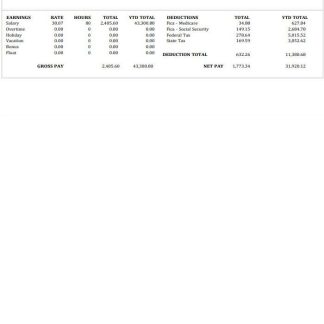 Terralytics Analysis payslip template in Word and PDF formats.pdf, 1 download template file
