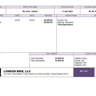 tobacco company earning statement template in Word and PDF formats download template file