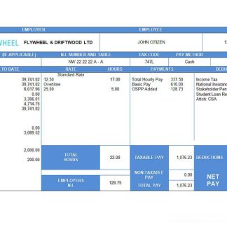 tourism company paystub template in Word and PDF formats download template file
