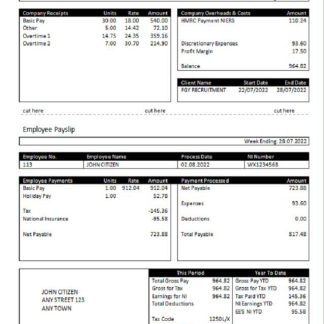 transport company payroll template in Excel and PDF formats download template file