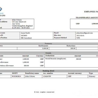 transport equipment manufacturing company earning statement in Word and PDF formats download template file