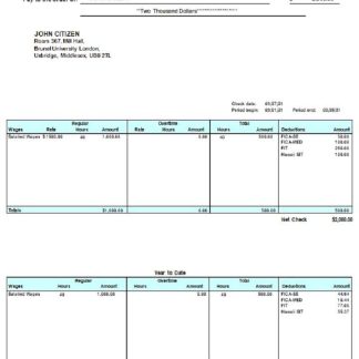 Trinitypartners India real estate payslip template in Word and PDF formats.pdf, 1 download template file