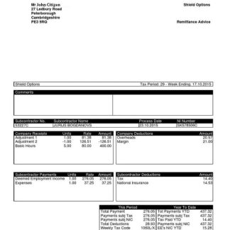 Trucking Company Earnings statement download template file