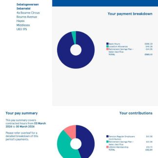 UAE MANZIL Healthcare Services salary slip in Word and PDF formats download template file