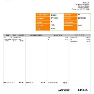 UAE TAWAM Hospital payslip template in Word and PDF formats download template file