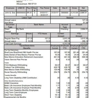 Unam Pharmaceautical (M) Sdn Bhd payslip template in Word and PDF formats.pdf, 1 download template file