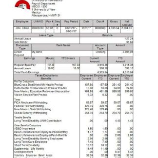 Unisys India earnings template in Word and PDF formats.pdf, 1 download template file