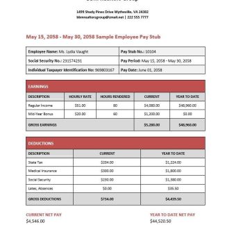 BAYER Paystub 2022 download template file