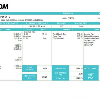 UNITED KINGDOM SHIELD contract services payslip in Word and PDF formats download template file
