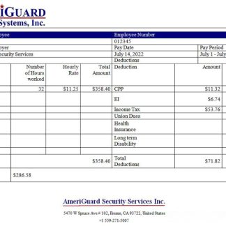 University of Alaska pay stub Word and PDF template download template file