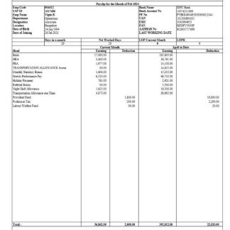 BBM realtors group employee pay stub in PDF and Word formats download template file