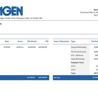 University of New Mexico pay stub Word and PDF template download template file