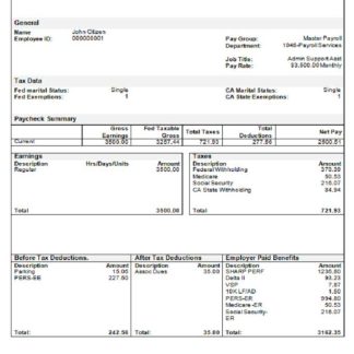 University of New Mexico paystub in  word and pdf formats download template file
