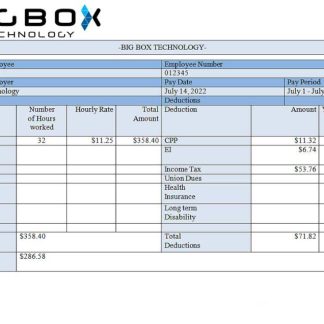 USA ABSTRACT united payslip Word and PDF formats download template file