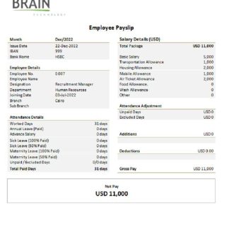 USA Accupay Demo Inc. payroll company download template file