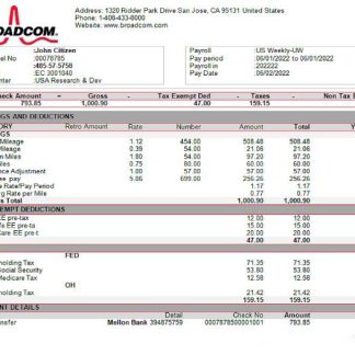 USA ADVANTANGE resourcing paystub in Word and PDF formats download template file