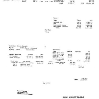 BCD Travel India payslip template in Word and PDF formats.pdf, 1 download template file
