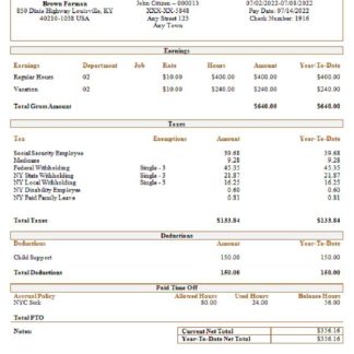 USA ALABAMA Vesta Insurance Group earning statement in Word and PDF formats download template file