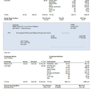 USA building company earning statement download template file