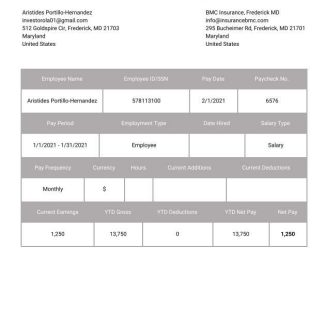 Bluefield Corp. Ltd pay stub Word and PDF template download template file