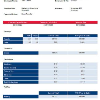USA Cal State San Marcos payroll services company download template file