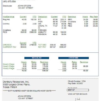 USA CALIFORNIA ACME LLC  earning statement in word and pdf formats download template file