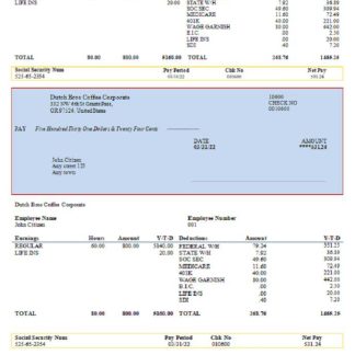 USA Capital One banking company download template file