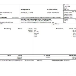 USA clothing company earning statement download template file