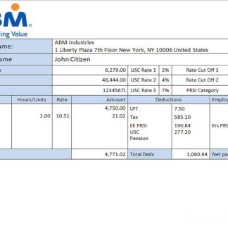 USA Delta Air Lines airlines company pay stub download template file