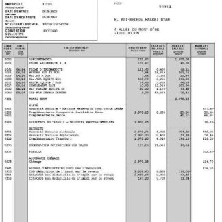 Bosch LTD payslip template in Word and PDF formats.pdf, 1 download template file