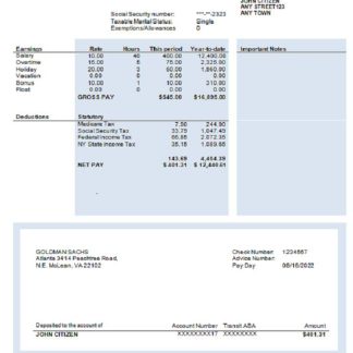 USA Discovery Inc. entertainment company pay stub download template file
