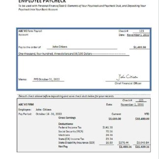 USA Diversey household goods company pay stub download template file