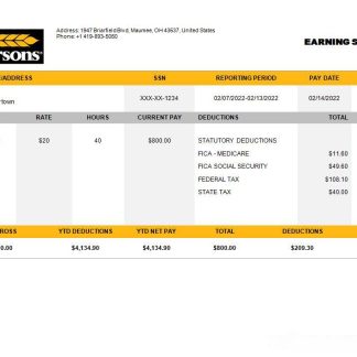 USA DIXON University center paystub in Word and PDF formats download template file
