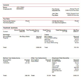USA educational earning statement template download template file