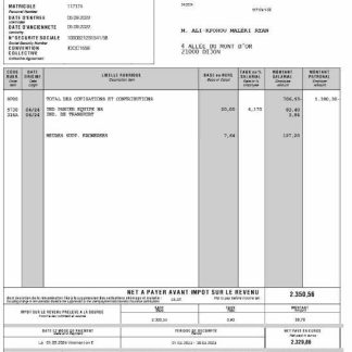 Boulanger payslip (in French language) template in Word and PDF formats.pdf, 1 download template file
