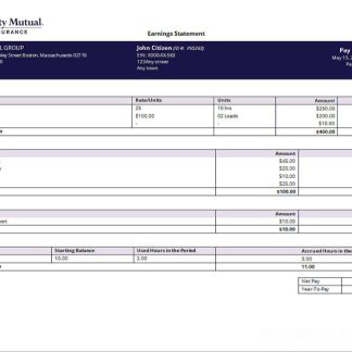USA Entertainment Partners Enterprises financial company pay stub download template file
