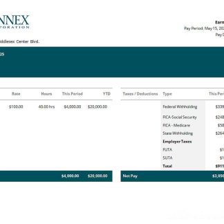 USA Fedex transportation company pay stub download template file