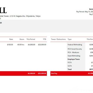 USA financial company earning statement template in Word and PDF format, version 2 download template file