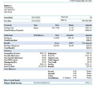 USA Grainger industry company pay stub download template file
