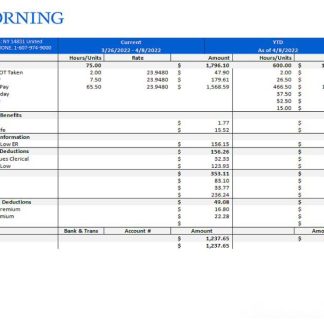 USA Honeywell conglomerate company pay stub PSD download template file