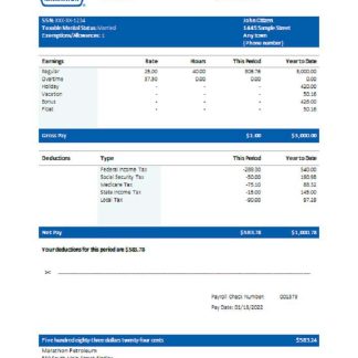USA Honeywell conglomerate company pay stub Word download template file