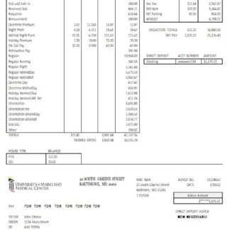 USA insurance company earning statement download template file