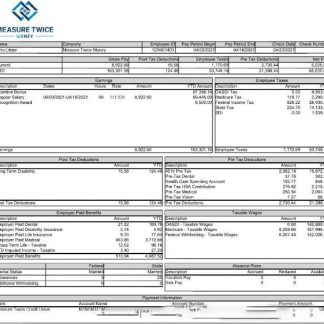 USA insurance company earning statement template in Word and PDF format, version 2 download template file