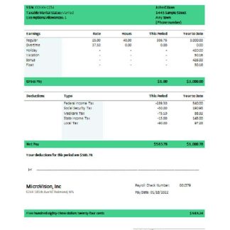 USA IT technologies company earning statement template in Word and PDF format download template file