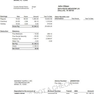 USA Jives Media advertising company pay stub download template file