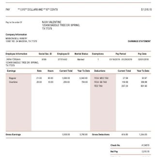 USA JLL real estate company pay stub Word download template file