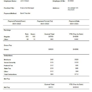 USA Juniper networking company pay stub download template file